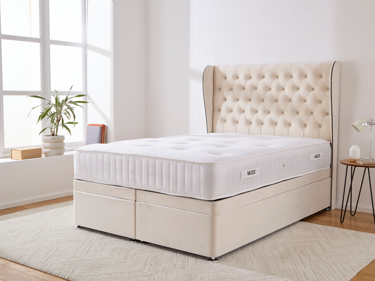 Dune Wingback Ottoman Divan Bed